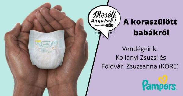 145451_Meselj_anyukam